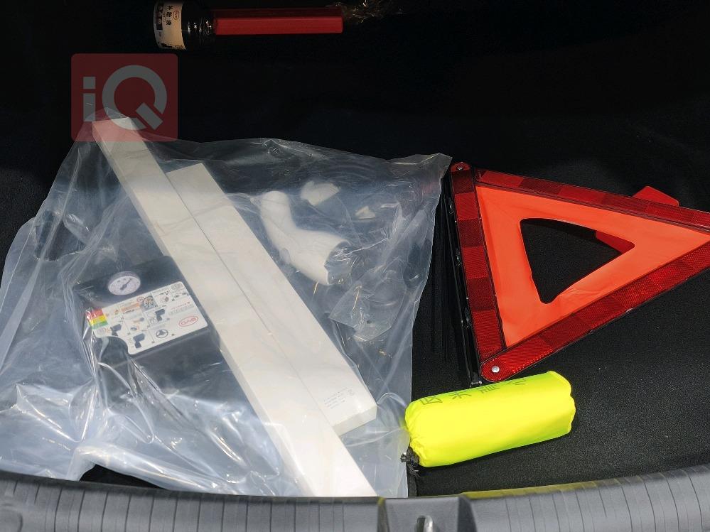 بي واي دي سيل 06 DM-i